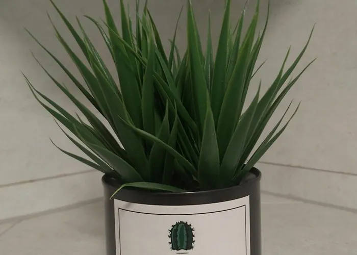 Center Luxury Appartement *